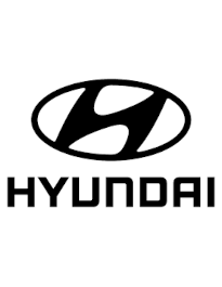 Hyundai Excavator Parts